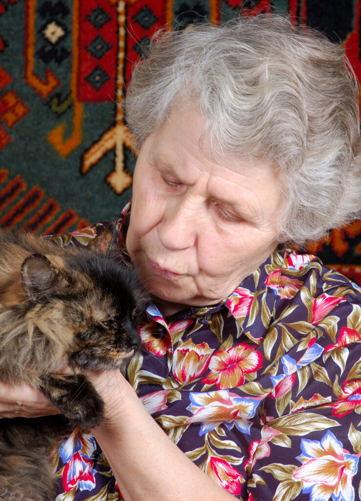 anziano fragile ed empatia un soccorso dal mondo animale